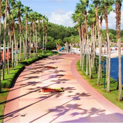 Large Sidewalk with Palm trees Near the Lake