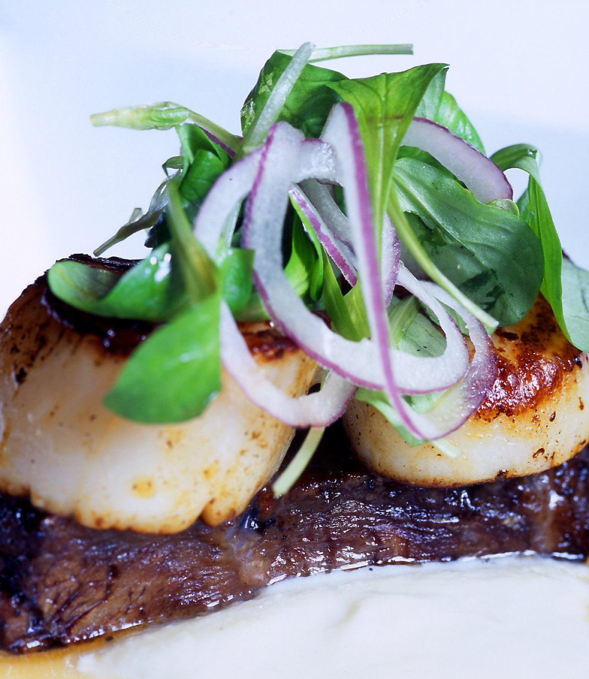 Scallops Over Braised Short Rib