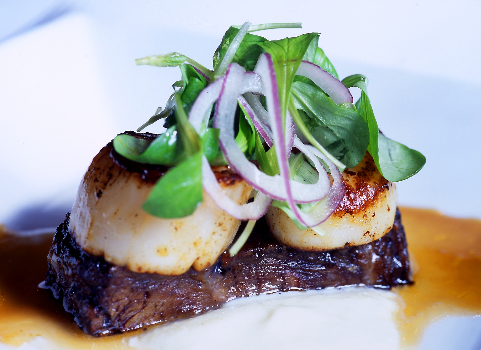 Scallops Over Braised Short Rib