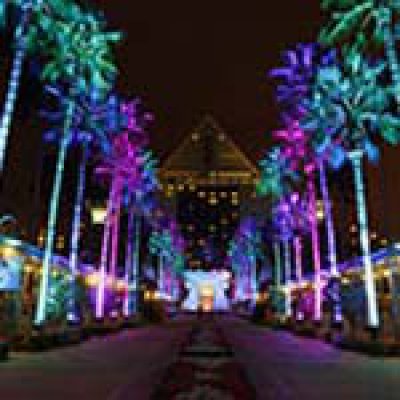 Causeway Lights between the Swan and the Dolphin Resorts