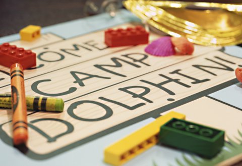 Game Board at Camp Dolphin