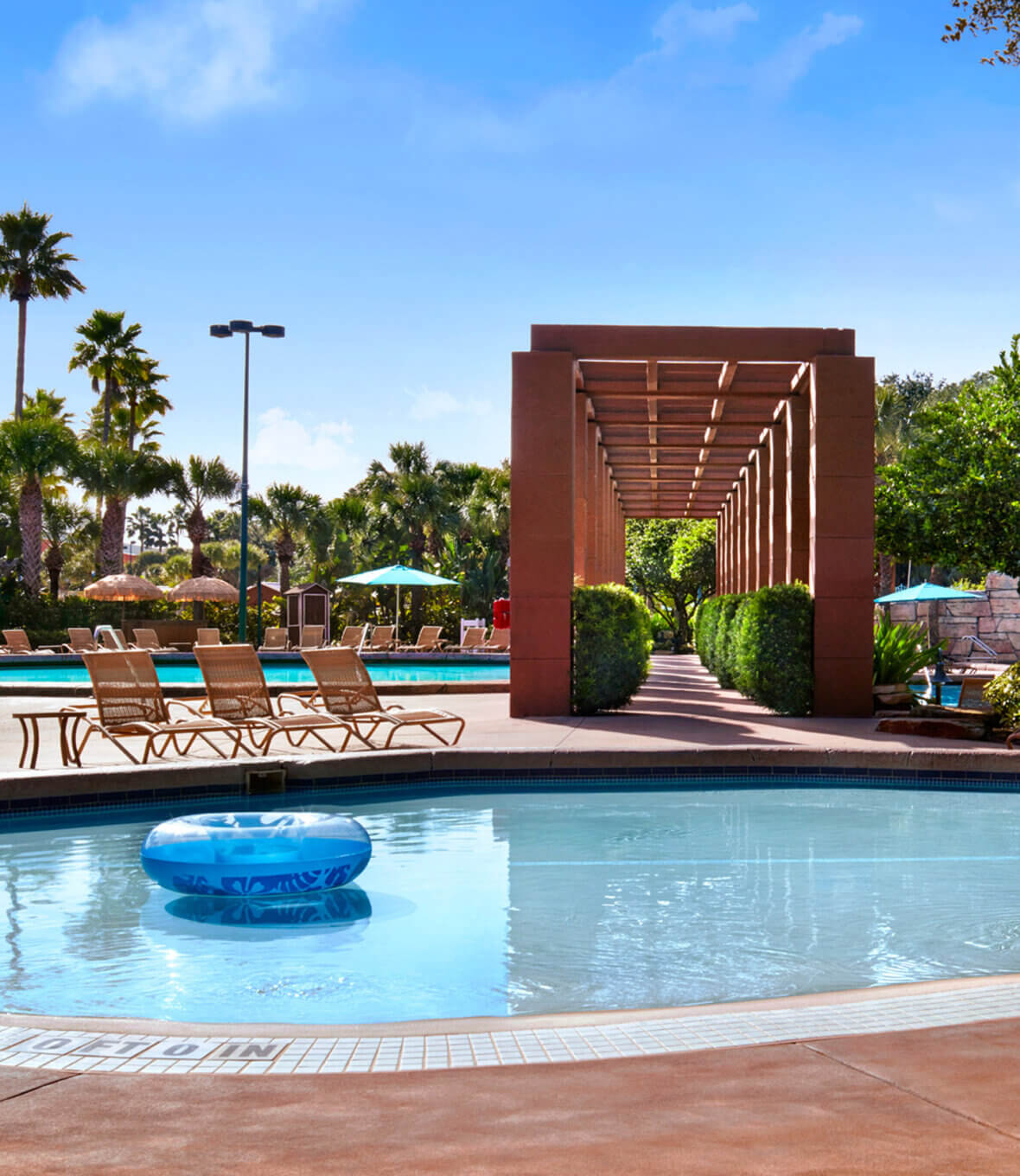 The Kiddie Pool at the Swan and Dolphin