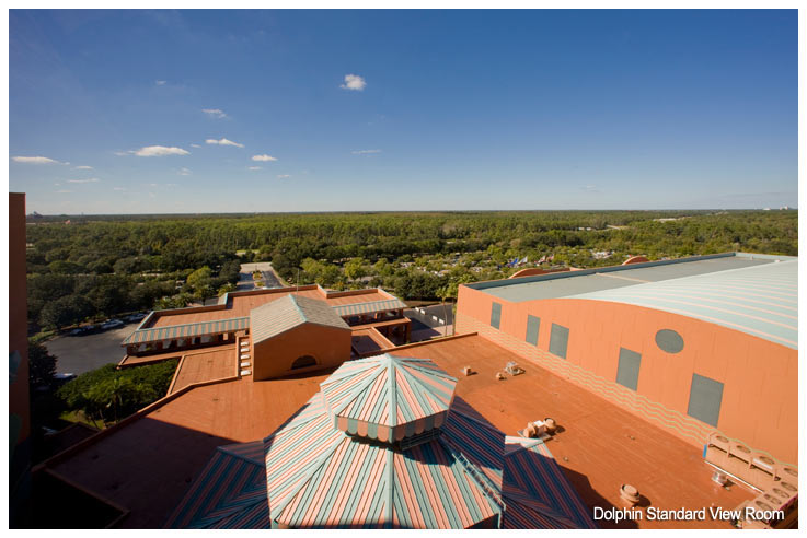 Swan Standard View from a Room