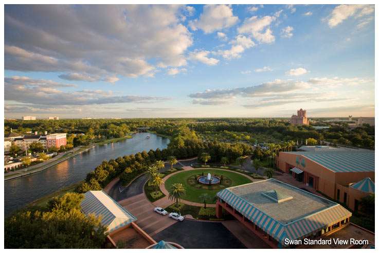 Swan Standard View from a Room