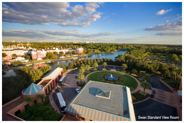 Swan Standard View from a Room