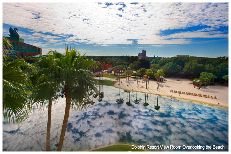 Dolphin Resort View Room Overlooking the Beach