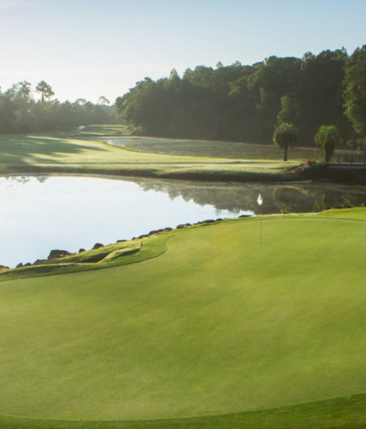 Palm Golf Course with Green and Pond in the Background