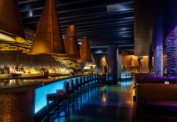 Lounge with Bar and Chairs